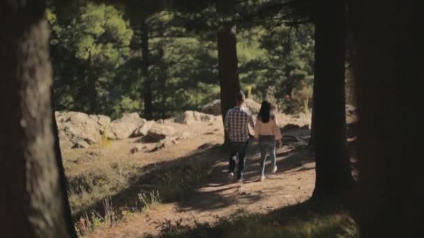 Pareja Amor Caminando Parque Nacional Sosteniendo Juntos Con Sus Manos — Vídeo de stock