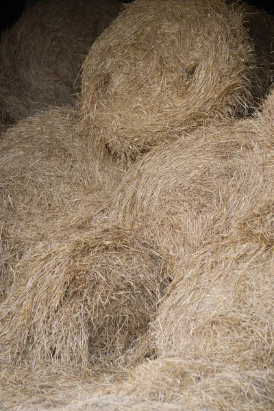 Rounded Piles Harvested Straw — Stock Photo, Image