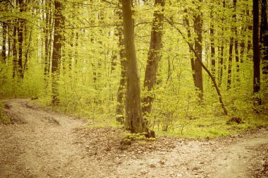 Boş toprak yol kararlarını için iki, kavram böler