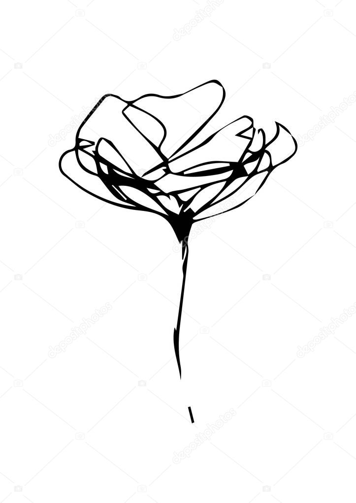 Design with line art flowers