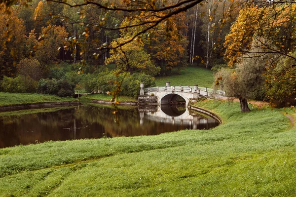 Небольшой мост в парке — стоковое фото