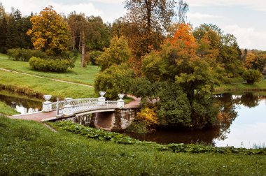 Pavlovsky Park Bridge'de vazo