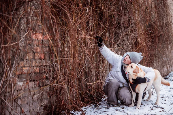 Ragazza Con Labrador Retriever Guardando Sul Muro Mattoni — Foto Stock