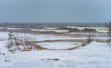 Turba ormanı akıntısı kış denizine akıyor.