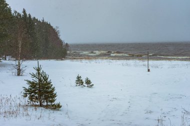 Karla kaplı bir göl ve kar altında bir kürk ağacı. 