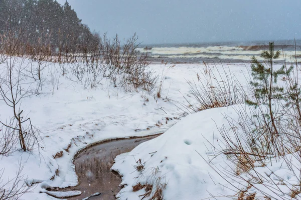 Curva Bosque Turba Inundado Las Costas Nevadas Con Olas Mar — Foto de Stock