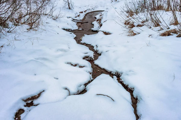 Malý Potok Zimním Lese Sněhovými Břehy — Stock fotografie