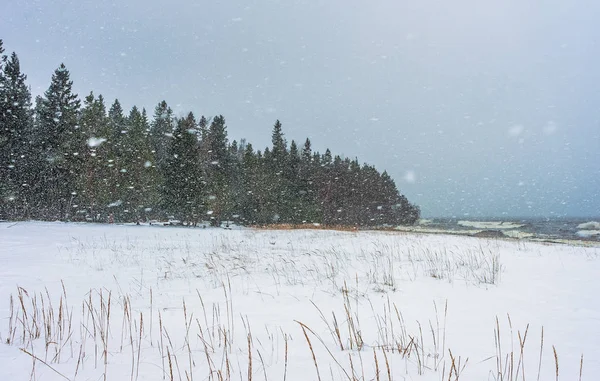 Costa Cubierta Nieve Bajo Las Nevadas Con Bosque Fondo — Foto de Stock