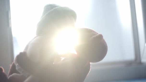 背景に太陽とキスする2匹のおもちゃのクマ — ストック動画