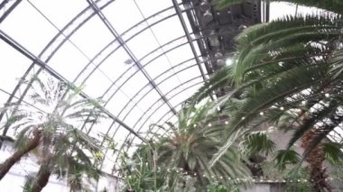 Bir cam evdeki çeşitli ağaçların yapraklarının manzarası