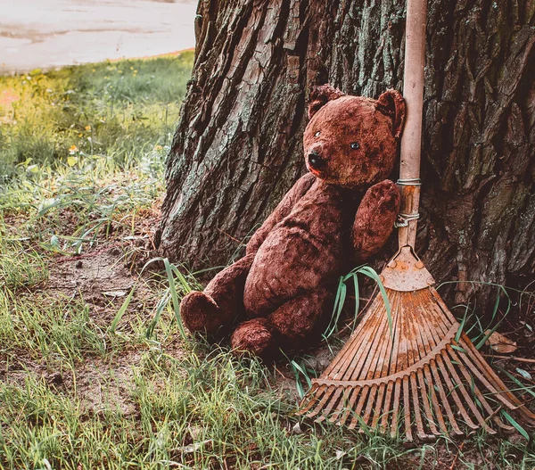 Ein Alter Teddybär Ruht Unter Einem Baum Gras — Stockfoto