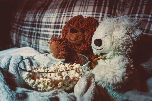 テレビの前で二匹の熊の居心地の良い夜 — ストック写真