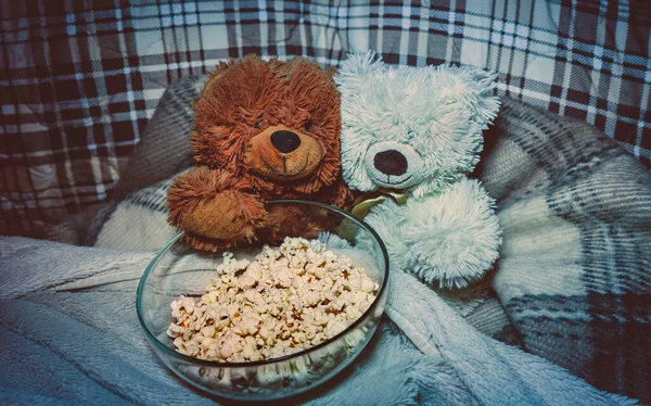 Zwei Bären Schauen Abends Einen Film Und Essen Popcorn — Stockfoto