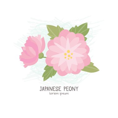 Japon Şakayık vektör çizim