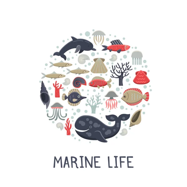 海洋生命卡. — 图库矢量图片