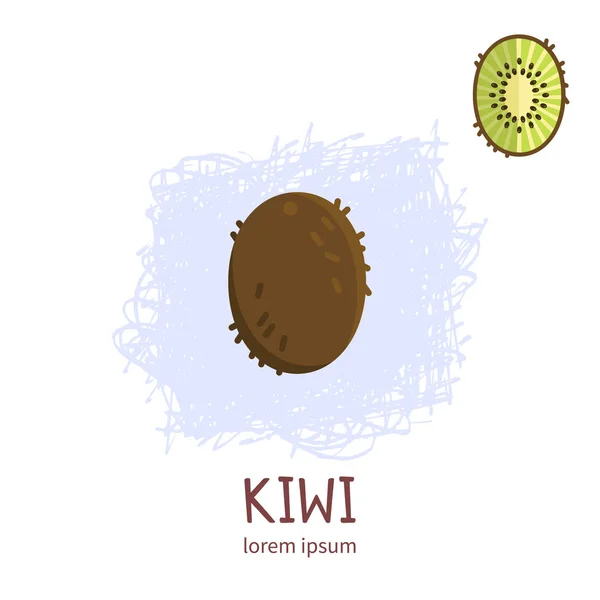 Fresh and juicy kiwifruit vector illustration. — Stock Vector