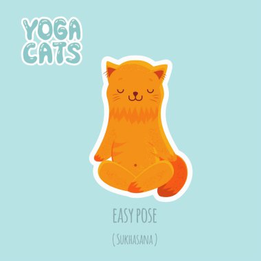 Şirin kedi pratik yoga ile etiket