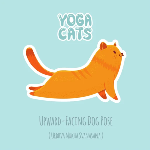 Sticker with cute cat practicing yoga — Stock Vector