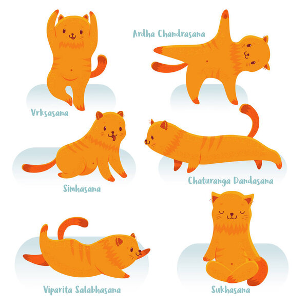 Рыжая кошка практикующая йогу Стоковый вектор
