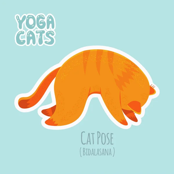 Pegatina con gato lindo practicando yoga — Vector de stock