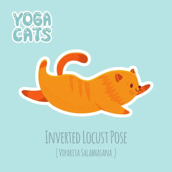 Pegatina con gato lindo practicando yoga — Vector de stock