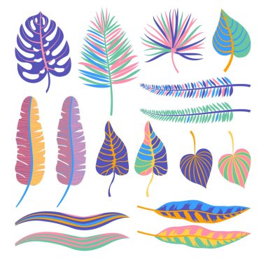 Vektör toplama tropikal orman yaprak.