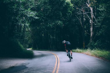Yeşil ormanda sürme bisikletçi