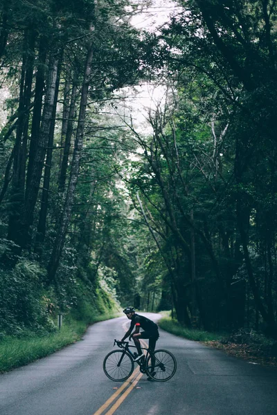 Ciclista en camino verde del bosque — Foto de Stock
