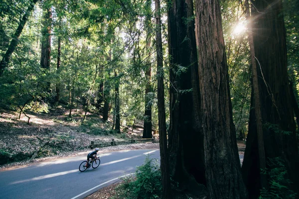 Ciclista montando en bosque verde — Foto de Stock