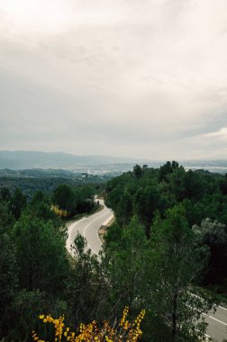 Boş yol karanlık ağaçlar ile