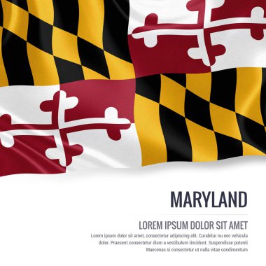 ABD devlet Maryland izole beyaz arka plan üzerinde sallayarak bayrak.