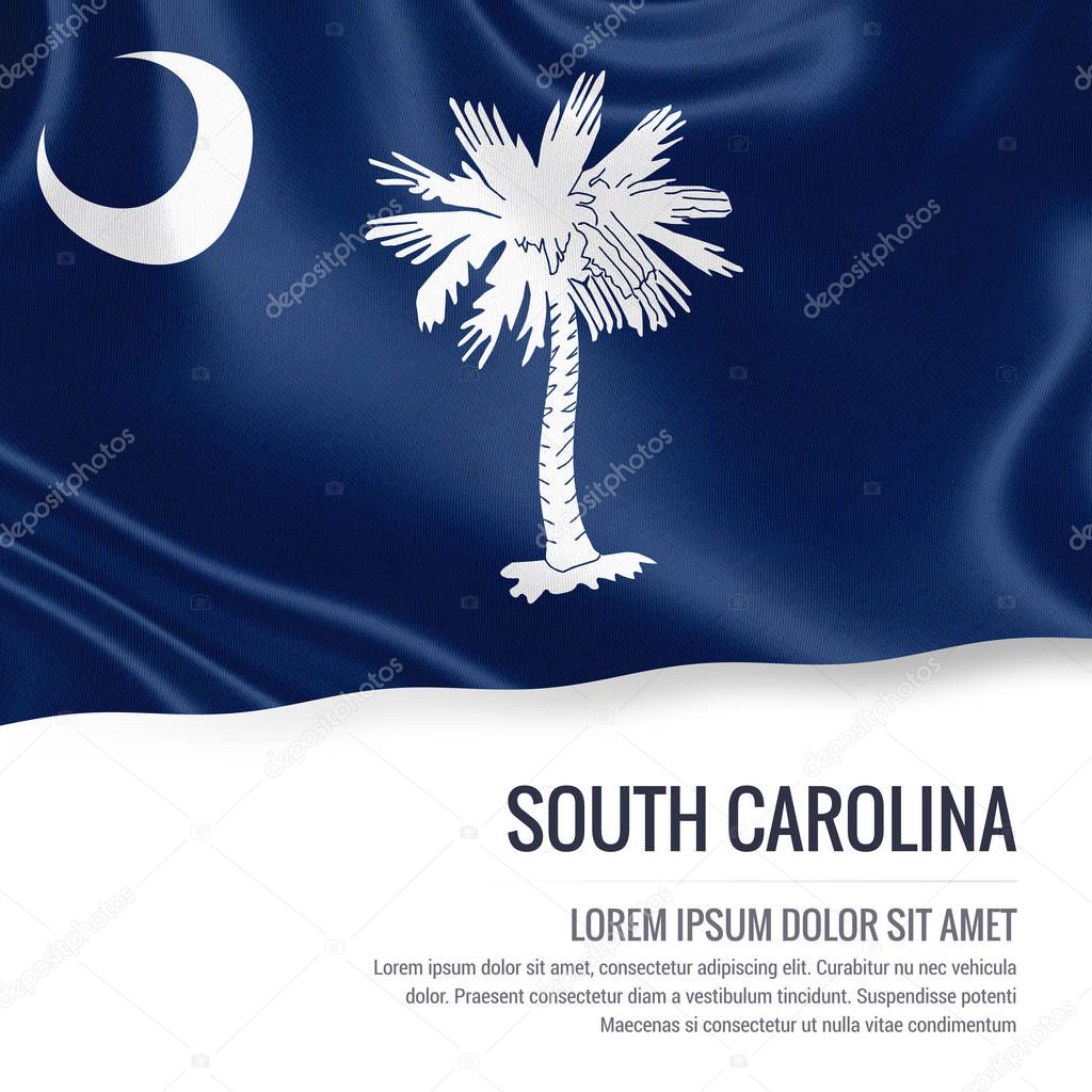 Flag of U.S. state South Carolina waving on an isolated white background.