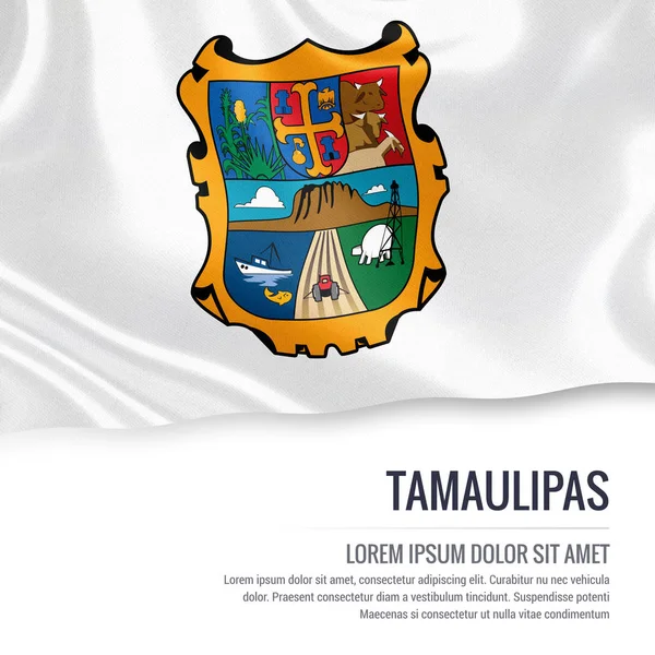 Прапор мексиканського штату Тамауліпас махав на ізольованих білим тлом. — стокове фото