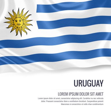 Uruguay bayrağı. İzole beyaz arka planda beyaz metin alanının reklam mesaj ile Uruguay sallayarak ipeksi bayrak. 3D render.