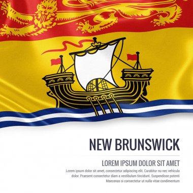 Kanada devlet New Brunswick bayrak izole beyaz arka plan üzerinde sallayarak. Eyalet adı ve metin alanının mesajın için.