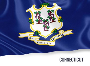 ABD devlet Connecticut bayrak izole beyaz arka plan üzerinde sallayarak. Eyalet adı altında sanat dahil.