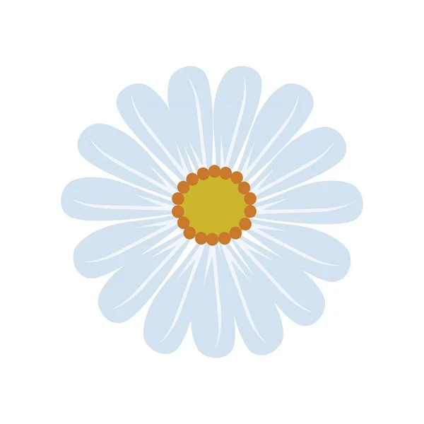 Delicato Fiore di Margherita in Blu Bilanciato e Giallo — Vettoriale Stock