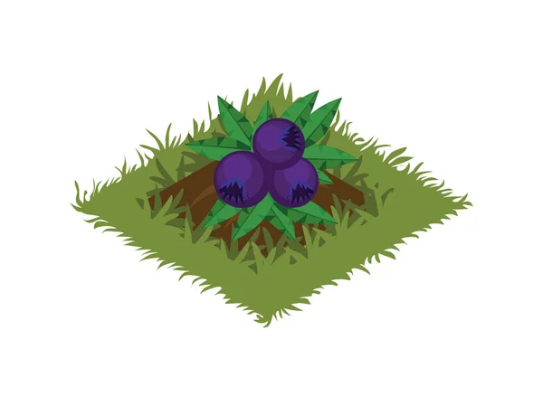 Cama Isométrica de Jardim de Frutas de Desenhos Animados Plantada com Berry Bush - Elementos para Mapa Tileset —  Vetores de Stock