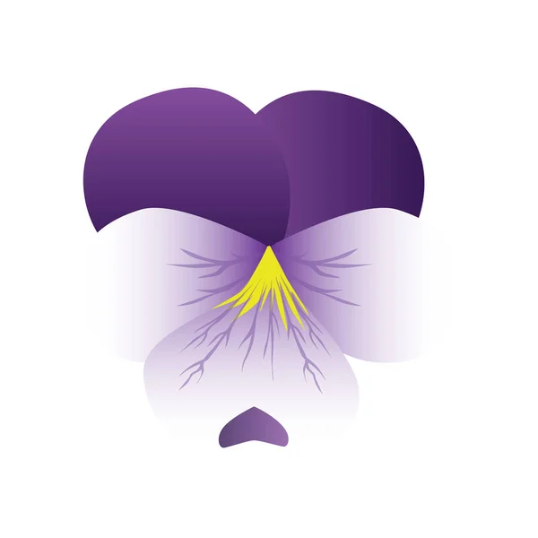 Nabídka fialový květ květ ve vektoru — Stockový vektor
