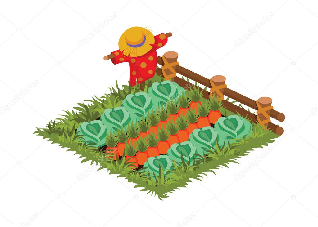 Isometric Cartoon Vegetable Garden Bed with Scarecrow Planted with Cabbage and Carrot