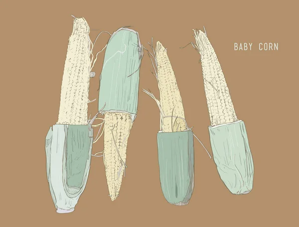 Baby kukuřice. ručně kreslenou, skica linie umění vektoru. — Stockový vektor