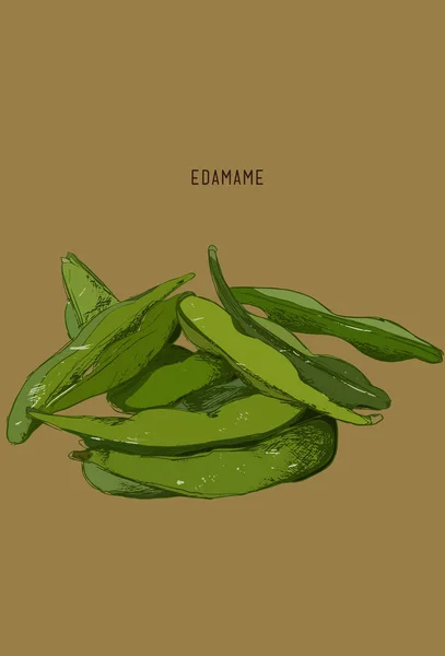 Légumes dessinés à la main - edamame / soja . — Image vectorielle