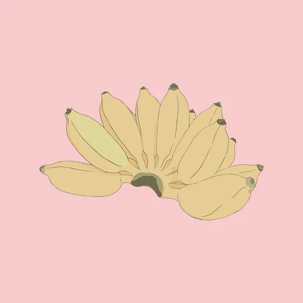 Pisang 아왁 바나나, 스케치 벡터. — 스톡 벡터