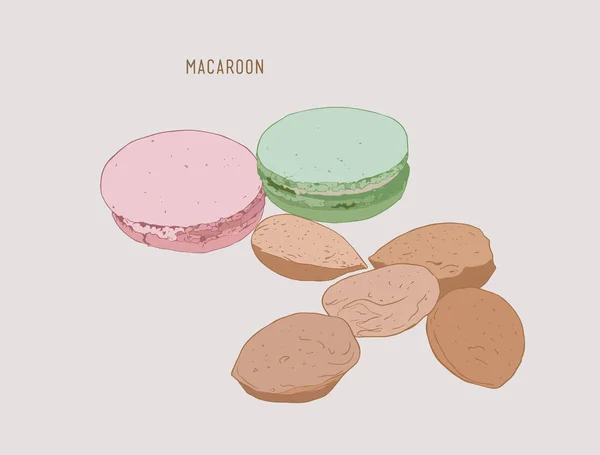 Macaroon e amêndoas, vetor de esboço . — Vetor de Stock