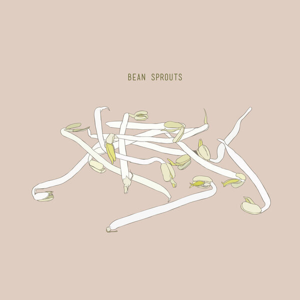 Bean Sprouts sketch vector.