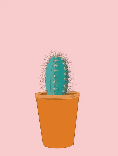 Sbírka kaktusů. Útržkovité styl obrázku. Sukulentní sada. Ve — Stockový vektor