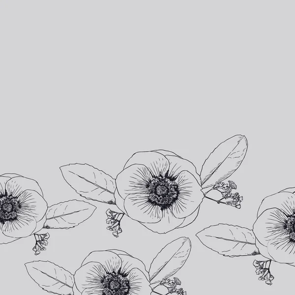 Flores de anêmonas, desenhado à mão esboço linha arte windflower . — Vetor de Stock