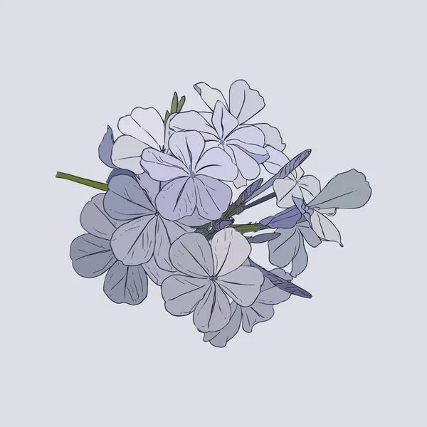 ライラックの花ベクトル — ストックベクタ