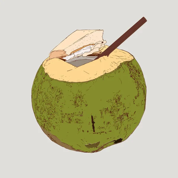 ココナッツ水を飲む、緑のココナッツ ベクトル. — ストックベクタ