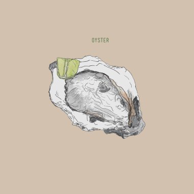 İstiridye vektör Illustration. İstiridye çiftlik ve istiridye Restoran